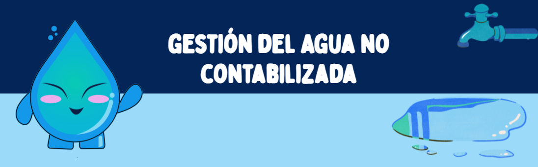 Gestión de Agua no Contabilizada